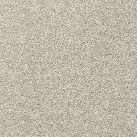Dusty Plain carpet swatch
